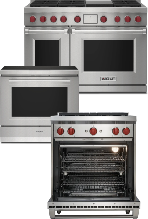 Wolf range stove
