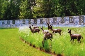 The Woodlands, TX