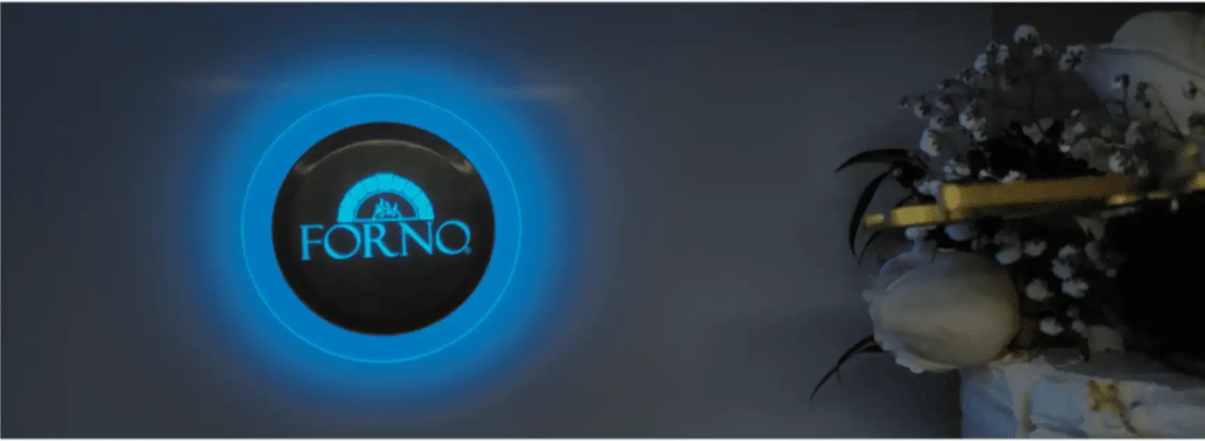 Forno logo background